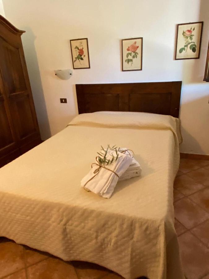 Bed & Breakfast Podere Ripabianca Riparbella
